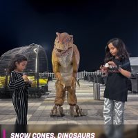 Dino Park Ticket
